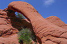 Cobra Arch